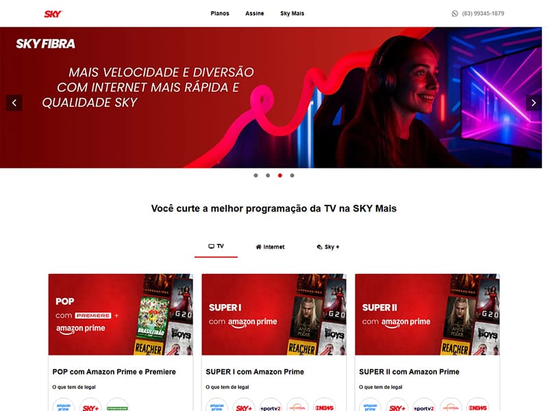 Projeto de serviços desenvolvido pela Sites PB para Vendas Sky