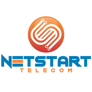 logo netstart