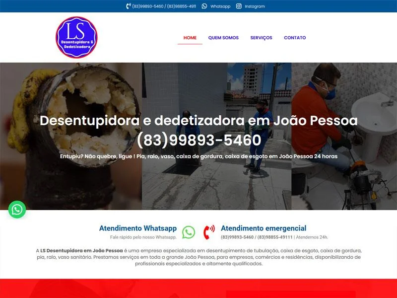 pf lsdesentupidora